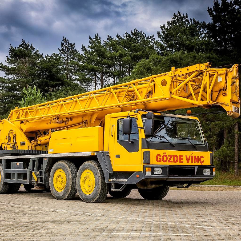 Gözde Vinç çalışma sahası